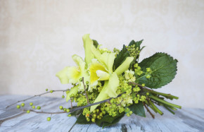 Green Cattleya Orchids with other green flowers