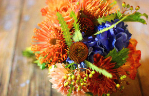 Orange and blue with berries