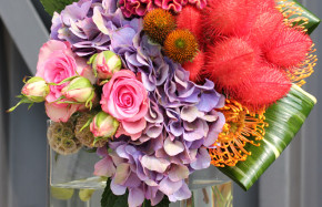 Hydrangea, celosia and bixa