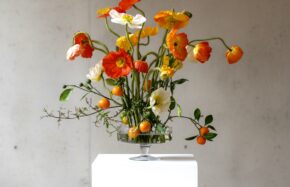 Mixed poppies with kumquats and jasmine vine