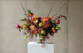 Amaryllis, peonies, fritilaria, orchids and other blooms