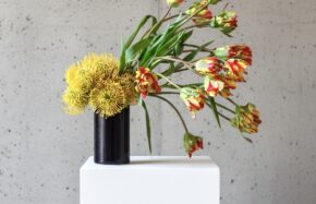 Yellow pincushions and flaming parrot tulips