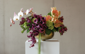 Waterfall plum callas with apricot amaryllis and orchids