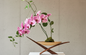 Ikebana orchid and vines