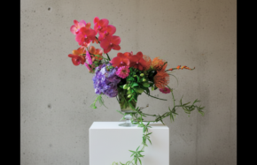 Vibrant mixed colors with orchids, hydrangeas, and pincushion