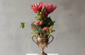 Trio of king protea with cristata and anthurium foliage