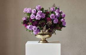 Applause roses with deeper purple tones and shaded