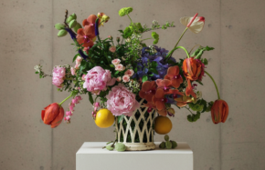 Flemish mix with French tulips, orchids, hydrangeas, almonds, citrus, anthurium and more